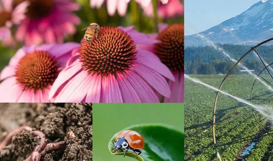 Recomendador de suplementos Nutrilite personalizado para tu bienestar